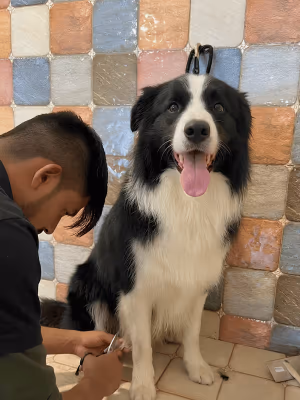 Professional Grooming