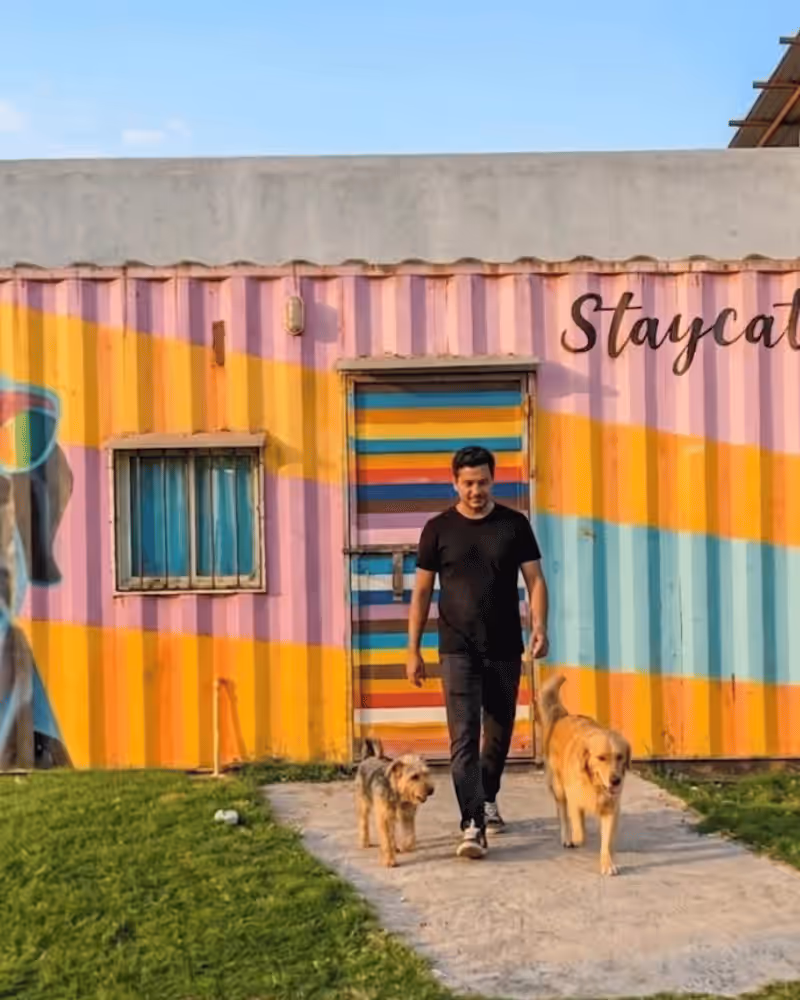 Boarding/Day Care & Daycare