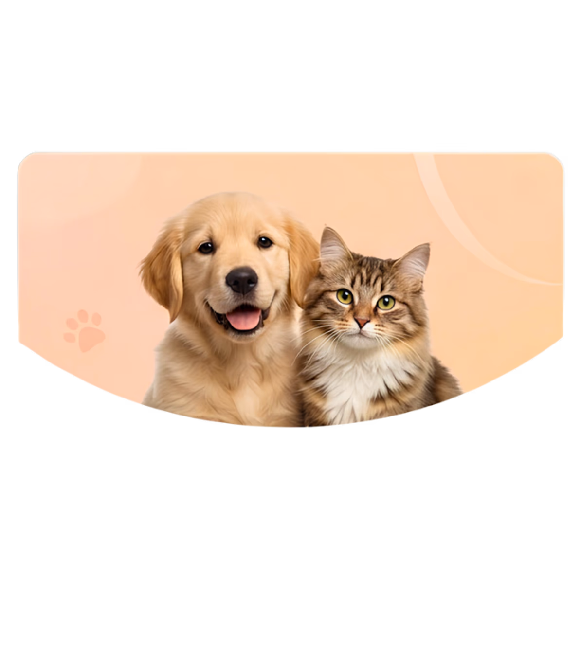 Welcome to Pups and Cups