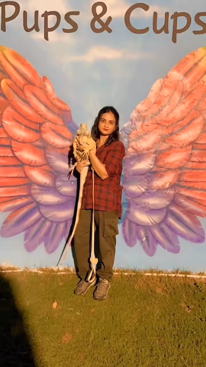 Sultan the Iguana enjoying the night