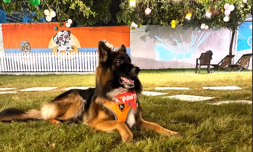 Open-air, not enclosed